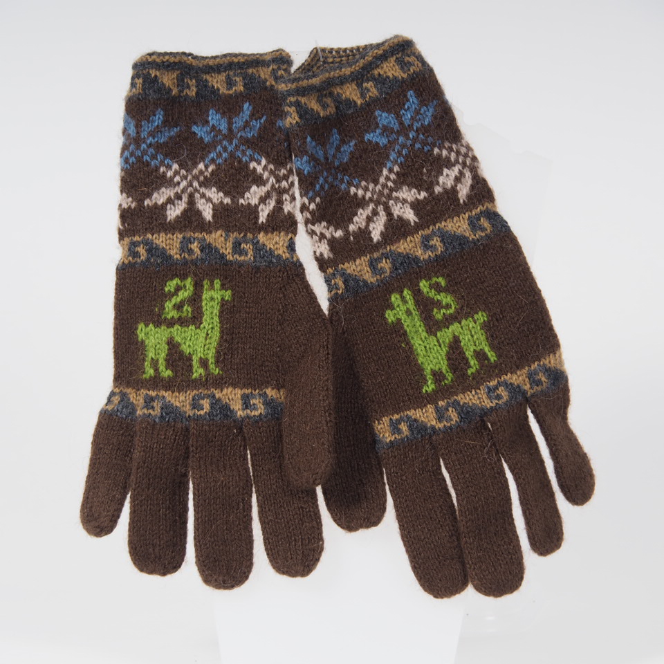 Alpaca gloves funky