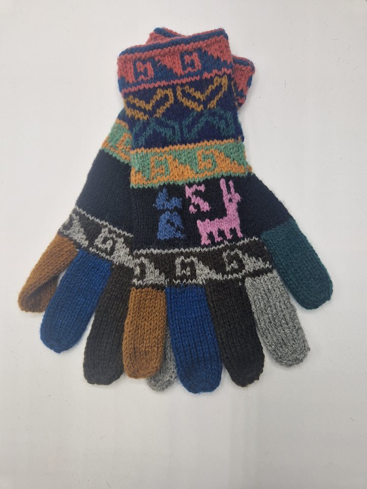 Alpaca gloves funky