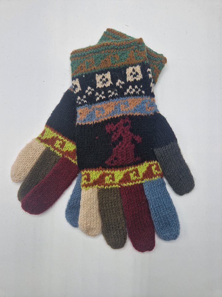 Alpaca gloves funky