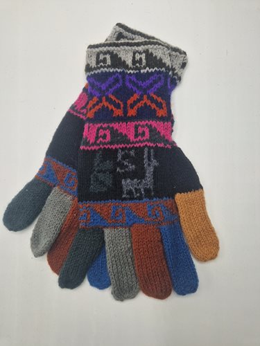 Alpaca gloves funky