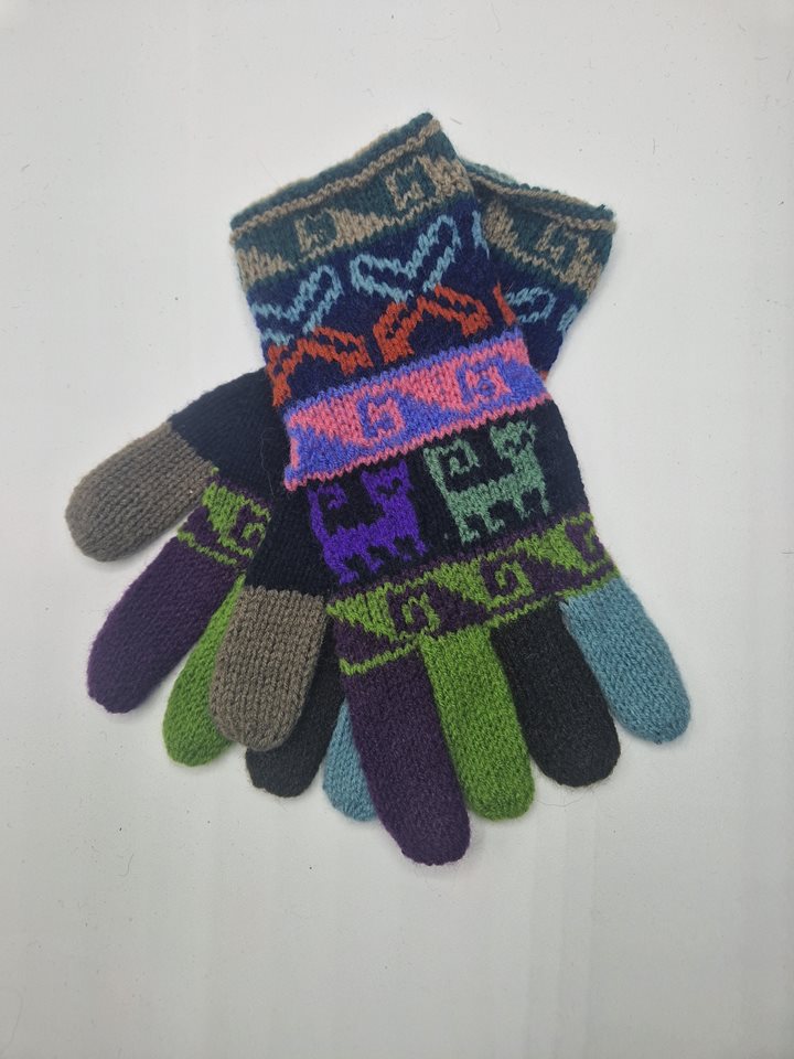 Alpaca gloves funky