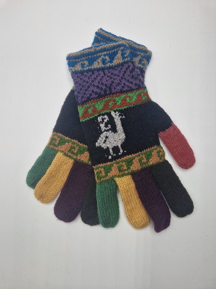 Alpaca gloves funky