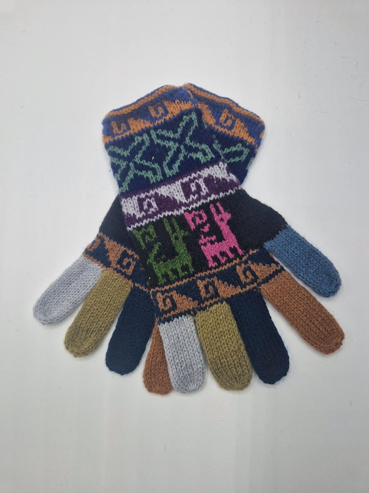 Alpaca gloves funky